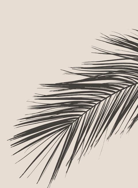 The Date Room Abu Dhabi flagship