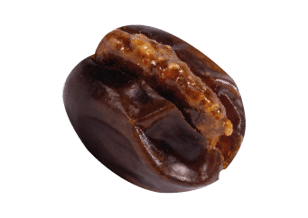 Fardh Date stuffed with Caramelized Pecan