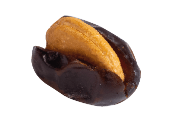 Fardh Date stuffed with Roasted Cashew